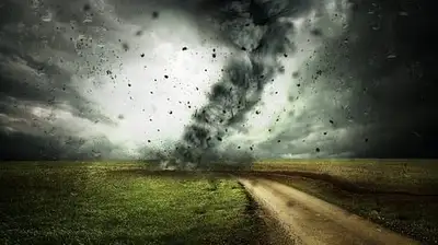 стихия, фото - Новости Zakon.kz от 01.04.2023 20:41