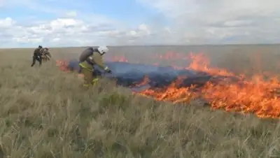 Zakon.kz, фото - Новости Zakon.kz от 03.05.2016 23:10