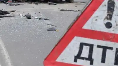 Zakon.kz, фото - Новости Zakon.kz от 11.06.2017 07:15