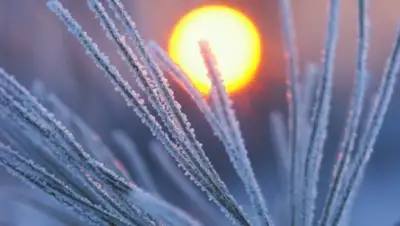 Zakon.kz, фото - Новости Zakon.kz от 14.12.2015 12:00