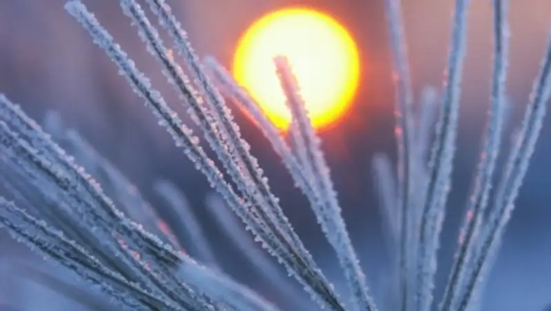 14 декабря на большей части территории Казахстана ожидается погода без осадков