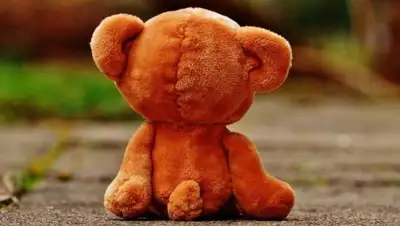 из открытых источников, фото - Новости Zakon.kz от 12.01.2019 00:00