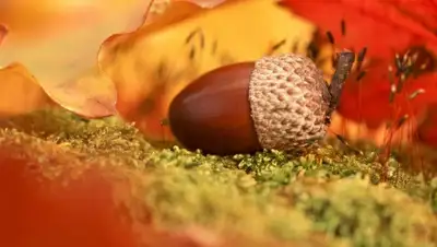 Zakon.kz, фото - Новости Zakon.kz от 17.09.2015 13:49