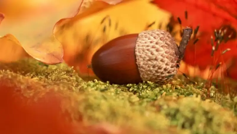 Ненастная погода ожидается 17 сентября на севере и западе Казахстана