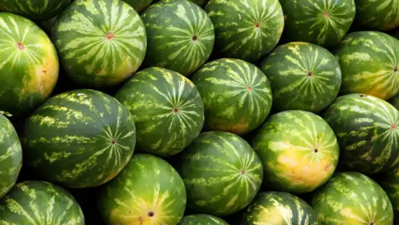 Засуха разоряет фермеров Жамбылской области