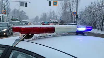 В Павлодаре мужчина с ножом ограбил салон сотовый связи на 12 млн тенге , фото - Новости Zakon.kz от 27.12.2022 10:07
