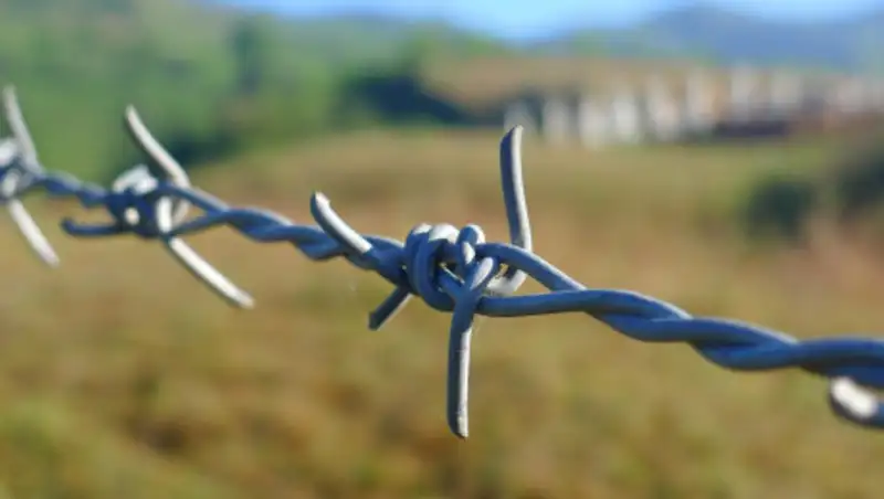 Подозреваемый в убийстве егеря в Акмолинской области арестован