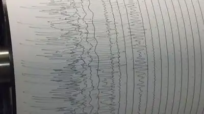 В 200 км от Алматы сейсмологи зафиксировали землетрясение