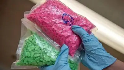 Zakon.kz, фото - Новости Zakon.kz от 28.08.2017 09:55