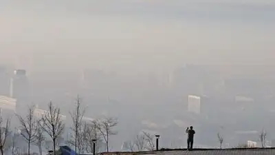 66 кг наркотиков планировал отправить в Алматы житель Жамбылской области  , фото - Новости Zakon.kz от 01.11.2023 20:24