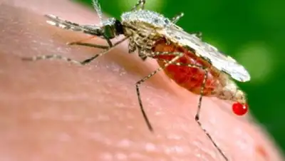 Zakon.kz, фото - Новости Zakon.kz от 22.08.2016 06:25