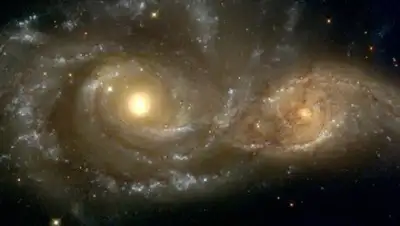 Zakon.kz, фото - Новости Zakon.kz от 21.11.2017 23:17