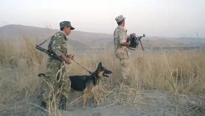 asiaplus.tj, фото - Новости Zakon.kz от 14.03.2019 11:03