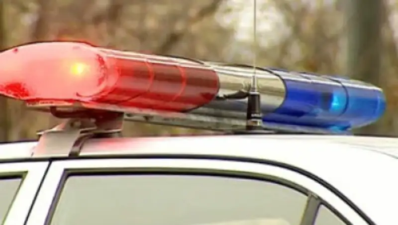 Для местных полицейских служб в Алматинской области закупили 60 машин