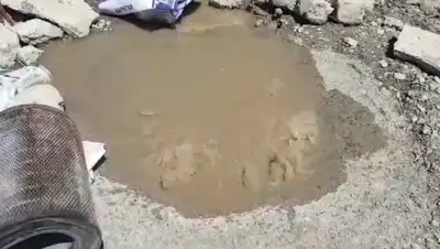 Zakon.kz, фото - Новости Zakon.kz от 08.06.2017 21:53