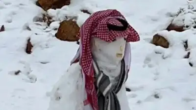Снег выпал в Саудовской Аравии