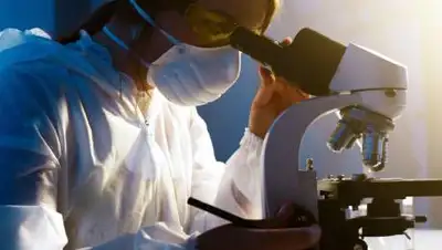 pixabay.com, фото - Новости Zakon.kz от 15.08.2021 08:01