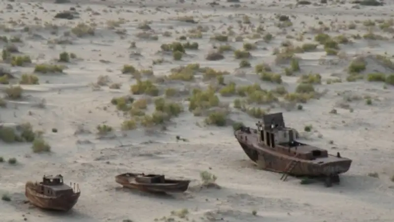 Соленые земли Арала могут стать плодородными благодаря нанопеску - ученый