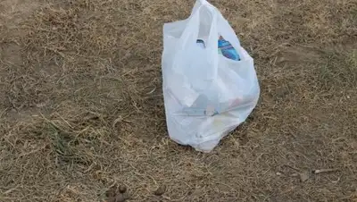 Zakon.kz, фото - Новости Zakon.kz от 01.02.2017 17:21