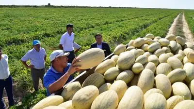 Zakon.kz, фото - Новости Zakon.kz от 13.09.2016 19:38