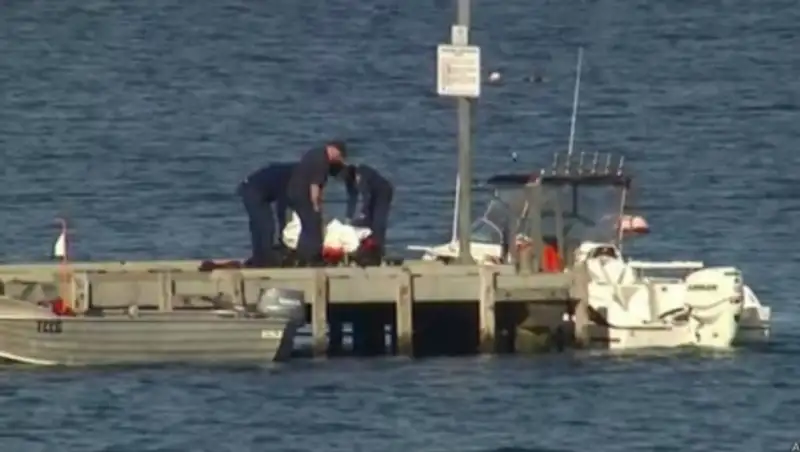 Акула в Австралии убила мужчину на глазах дочери