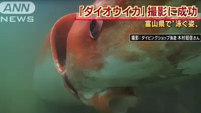 Zakon.kz, фото - Новости Zakon.kz от 29.12.2015 15:17