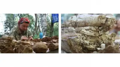 Zakon.kz, фото - Новости Zakon.kz от 20.07.2015 21:58