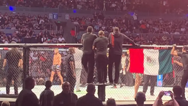 Самый скандальный бой года прошел в UFC