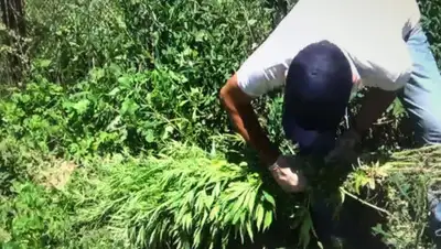 Polisia.kz, фото - Новости Zakon.kz от 10.07.2020 01:11