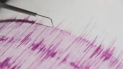 yeniasir.com.tr, фото - Новости Zakon.kz от 02.04.2019 08:52