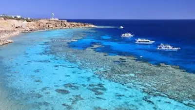 Zakon.kz, фото - Новости Zakon.kz от 16.02.2016 17:16