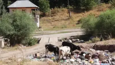 Zakon.kz, фото - Новости Zakon.kz от 13.08.2015 15:12