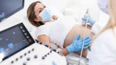 Istock, фото - Новости Zakon.kz от 29.11.2020 14:44