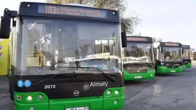 пресс-служба акимата Алматы, фото - Новости Zakon.kz от 07.07.2020 15:47