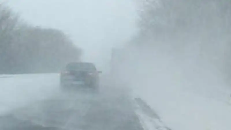 &#1178;ар &#1179;&#1201;рсауында &#1179;ал&#1171;ан 40 адам &#1179;&#1201;т&#1179;арылды