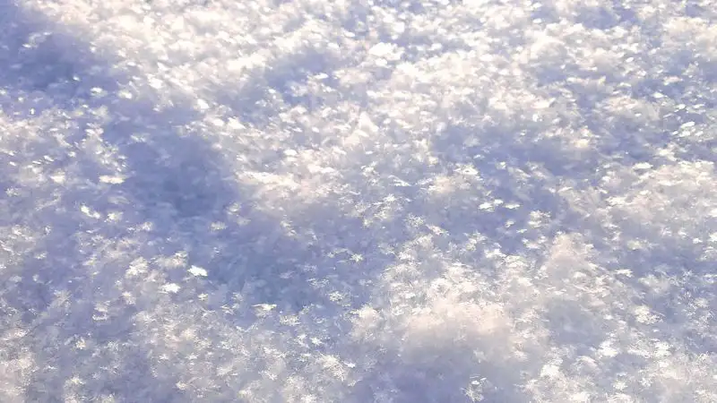 Москву занесло снегом