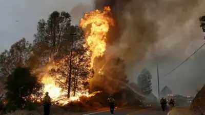 Zakon.kz, фото - Новости Zakon.kz от 03.08.2015 12:47