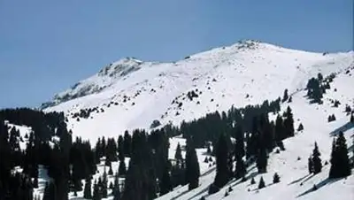 Zakon.kz, фото - Новости Zakon.kz от 26.02.2014 15:45