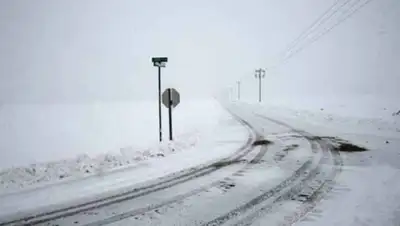 Zakon.kz, фото - Новости Zakon.kz от 08.12.2015 16:54