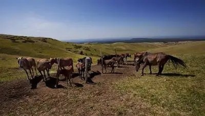 Zakon.kz, фото - Новости Zakon.kz от 19.09.2014 16:23