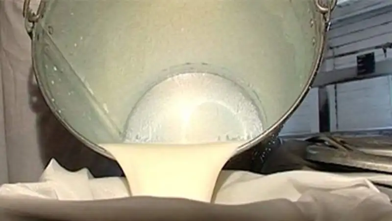 Главы двух крупнейших животноводческих хозяйств РК не планируют поставлять молочку в РФ