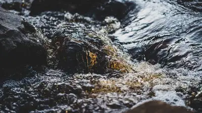 Казахстан Нура ртуть МЭГПР, фото - Новости Zakon.kz от 07.12.2022 16:25