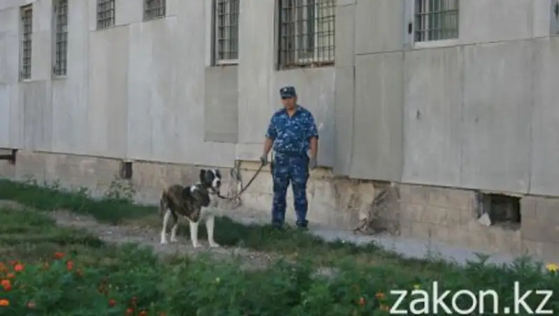 СИЗО вместо парламента: в каких условиях содержится кыргызский депутат