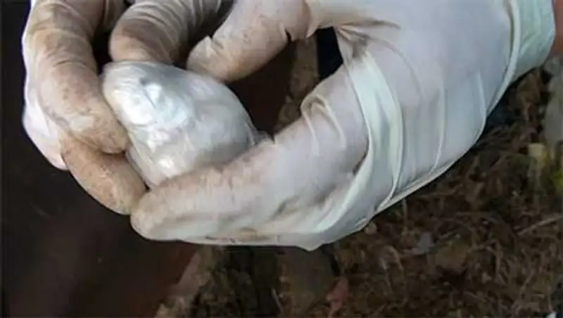 В Петропавловске задержали жительницу Кокшетау, торгующую героином