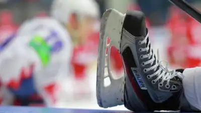 Zakon.kz, фото - Новости Zakon.kz от 31.01.2017 01:46