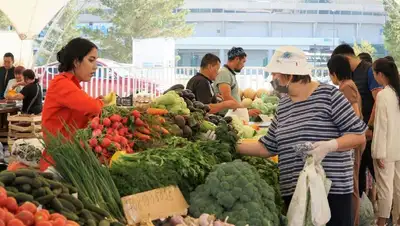 Сезон региональных сельскохозяйственных ярмарок стартует в Нур-Султане, фото - Новости Zakon.kz от 26.08.2022 16:37