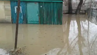 Zakon.kz, фото - Новости Zakon.kz от 28.03.2017 23:54