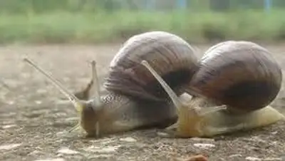 Zakon.kz, фото - Новости Zakon.kz от 09.09.2014 18:16