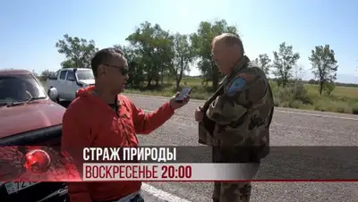 -, фото - Новости Zakon.kz от 07.06.2020 04:42