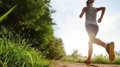 vse42.ru, фото - Новости Zakon.kz от 15.07.2020 18:02